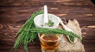 5 receitas de chá de cavalinha para limpar o organismo