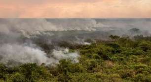 Nova lei define regras para uso do fogo em áreas rurais