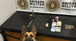 Cão farejador "Athena" do BPChoque entrega traficante no RS