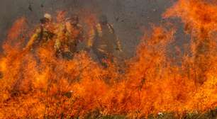 Mudanças climáticas agravaram condições para incêndios no Pantanal em 40%