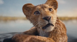 D23 | Live-action de Rei Leão vai contar como Mufasa e Scar se tornaram inimigos