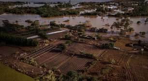 CMN autoriza prorrogação de dívidas de agricultores atingidos por inundações no RS