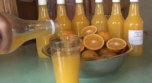 Aprenda como fazer suco de laranja gaseificado simples em casa mesmo; é ótimo