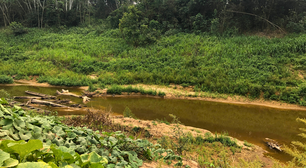 No Acre, população tem que lidar com seca histórica enquanto respira fumaça