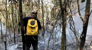 Incêndios florestais: entenda por que SP fechou unidades de conservação para prevenir queimadas