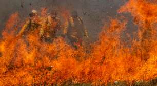 Parque da Cantareira é fechado por causa de incêndio; total de unidades chega a 81