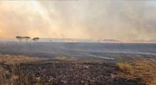 Incêndio destrói cerca de 10 mil hectares na Chapada dos Veadeiros (GO)