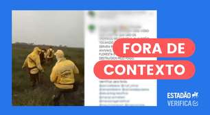 Vídeo de brigadistas do ICMBio é de 2020 e mostra técnica de combate a incêndios florestais