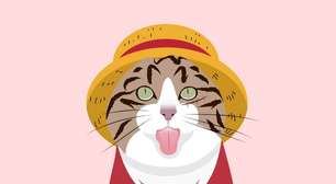 10 nomes para gatos inspirados em One Piece