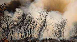 Marina Silva diz que há 106 incêndios sem nenhuma forma de combate no país