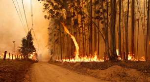 Homem é preso suspeito de provocar incêndios no interior de São Paulo, diz Defesa Civil