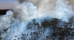 A dimensão da seca e dos incêndios que atingem o Brasil