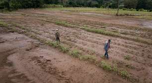 CMN autoriza renegociação de crédito rural em municípios atingidos por enchentes no RS