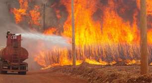 Puxado por Brasil, incêndios na América do Sul quebram novo recorde