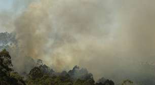 Mesmo distante da bancada agro, governo acredita em avanço de pauta ambiental