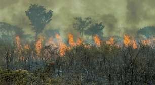 STF libera verba para combate a incêndios na Amazônia e Pantanal