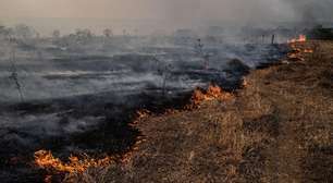 O que explica recorde de incêndios no Pantanal