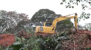 Moradores da zona norte de SP tentam barrar derrubada de árvores para construção de condomínio