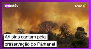 Artistas cantam pela preservação em 'Oh, Pantanal': assista