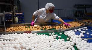 Ovos, frango e carne de porco podem ficar mais caros com a guerra no Oriente Médio