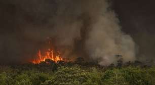 Incêndios podem ter afetado mais de 11 milhões de pessoas no Brasil, afirma CNM