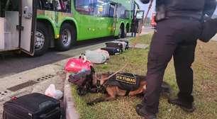 Trio é preso durante treinamento de cães farejadores na Freeway