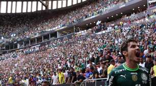 Palmeiras revê Mané Garrincha querendo construir nova memória feliz