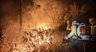 Polícia do Rio identifica 34 autores de incêndios florestais