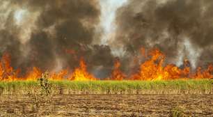 Plenário do Senado irá debater incêndios florestais