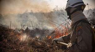 Amazônia e Pantanal têm piores queimadas das últimas duas décadas, alerta agência europeia