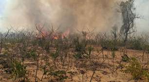 Indígenas de Mato Grosso lutam para sobreviver em meio a queimadas