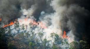 Calor, seca e riscos de incêndio estão aumentando na América do Sul, de acordo com estudo