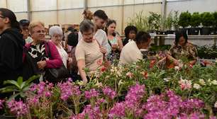 Festa de Flores e Morangos atrai 80 mil visitantes