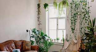 14 plantas que purificam o ar para se ter em casa