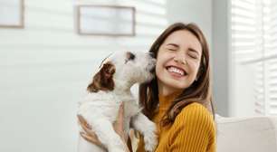 Veja as responsabilidades de quem tem um animal de estimação