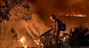 Como o Brasil combate incêndios florestais