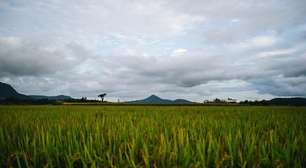 Chuva significativa no RS pode paralisar atividades no campo