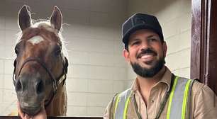 Sorocaba constrói casa luxuosa para seu cavalo; veja vídeo