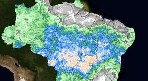 Chuva favorece início da semeadura da soja no PR e em GO