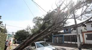 Apagão em SP: 100 mil estão sem energia elétrica pelo 5º dia seguido