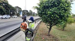 Linha Amarela passa por limpeza e manutenção durante a semana