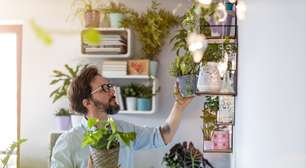 7 plantas para decorar a casa e atrair boas energias