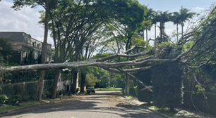 Chuva em SP provoca falta de energia em 111 mil imóveis neste sábado, 19