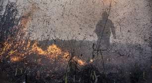 Focos de incêndios no Brasil já são 76% maiores que em 2023