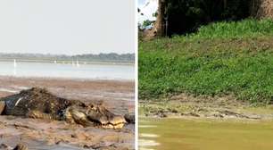 Pescador atravessa lago com jacarés durante seca no Amazonas; veja vídeo