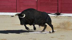 Touro mata homem que tropeçou durante tradicional corrida na Espanha