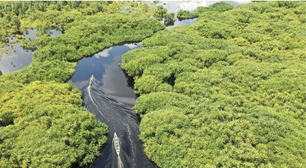 Belterra, na Amazônia, quer ser a "Machu Picchu brasileira"