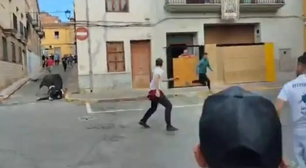 Homem tropeça e é morto por touro durante evento na Espanha; veja vídeo