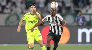 Botafogo e Palmeiras garantem vaga na Libertadores de 2025