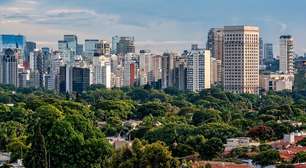 Prefeito de São Paulo diz que mais da metade da cidade são áreas verdes. É verdade?